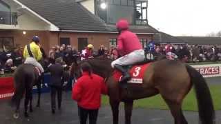 The Tullow Tank and Apache Stronghold in the ring at Fairyhouse