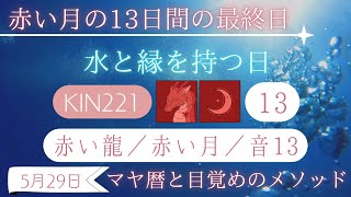 【マヤ暦 KIN221】赤い月の最終日🌕自分にとって大切なことは？｜今日の銀河のエネルギーについて（2024年5月29日）