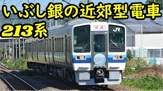 【いぶし銀の国鉄型近郊電車213系（岡山車）】