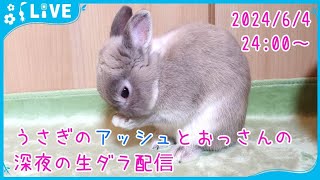 【雑談・うさぎ】うさぎのアッシュとおっさんの深夜の生ダラ配信　2024/6/4