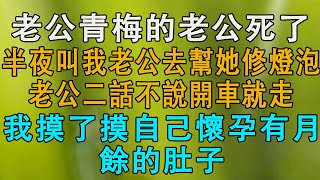 老公青梅的老公死了，半夜叫我老公去幫她修燈泡，老公二話不說開車就走， 我摸了摸自己懷孕有月餘的肚子。