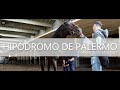 Mundo de Caballos - Programa 124 - Servicio Veterinario - Hipódromo de Palermo