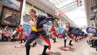 國士舞双 📍よさこい祭り (帯屋町演舞場) 2024-08-11T11:19