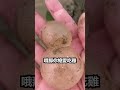 看完不笑算我输【每日一笑】