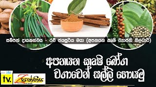 අපනයන කෘෂි භෝගවලින් අතමිට සරුකර ගමු