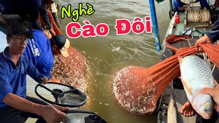 Trúng luồng cá Sông Mê Kông 