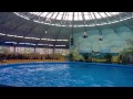 dolphinarium in yerevan