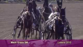 Elitloppet 2015 - il week end dell'ippica globale da \