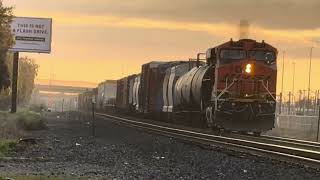 BNSF and two UP trains meet on the Martinez Sub ft H1