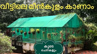 വീട്ടിലെ മീൻകുളം കണ്ടാലോ ? ഒപ്പം പറമ്പും ചെടികളും കാണാം || Fish farming and Garden ideas