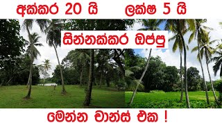 අක්කර 20 ක වටිනා ඉඩමක් ! | ඉක්මන් කරන්න | සින්නක්කර ඔප්පු | අඩුවට ඉඩම් | Kedella