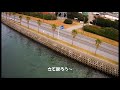 千葉県袖ケ浦市　千葉フォルニア行ってきた～　 ^^