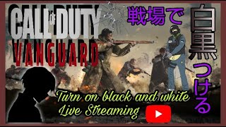 【PS4：COD：VANGUARD】参加型　初見・常連歓迎　概要確認必須