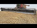 Brand NEW 2022 50' Honey Bee Header! (Harvest #3)