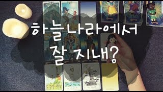 [타로리딩] 안녕! 하늘나라에서 잘 지내고 있어요? 이제 볼 수 없는 그 분들의 이야기