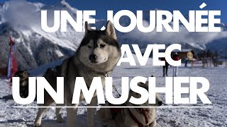 Une journée avec un Musher à Saint-Gervais Mont-Blanc