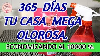 🎄AROMATIZA TU CASA  fácil y mega económico / Dulce y Natural.