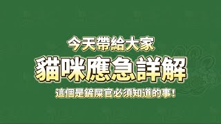 😱貓咪應急的危害🤔？貓咪得了應急反應🙀怎麼辦?