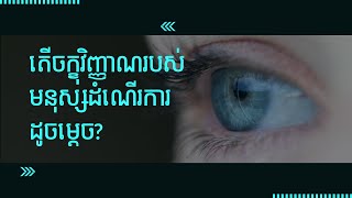 តើភ្នែករបស់មនុស្សដំណើរការដូចម្តេច?