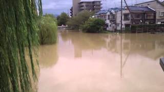 台風１８号による大雨の影響・京都市伏見区の様子【2013.9.16】021