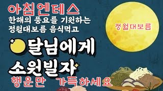 [2월12]#테스생각# 보이는라디오#음악방송#실시간신청곡#7080대중가요#최신트로트#🌸오전9~12방송 좋아요