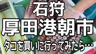 【石狩厚田朝市】衝撃！タコ高騰？シャコ不漁？『タコを食べるにも死に物狂い』女の戦い全部全部見せます！