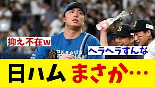 日本ハム　まさかの逆転サヨナラ負け・・・【野球情報】【2ch 5ch】【なんJ なんG反応】【野球スレ】