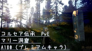 黒い砂漠　コルセア狩り　マリー洞窟A180（シーズンキャラ）BDO corsair succession PvE 180AP