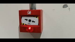 fire Alarm Call point Operation #Call point #Fire Alarm