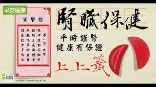 腎臟保健：平時謹腎，健康有保證【早安健康】