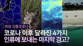 지구의 마지막 경고?…코로나19 이후 달라진 4가지