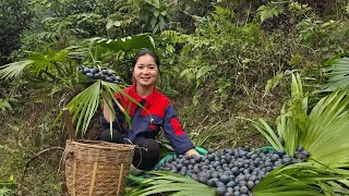 Mother and baby go to sell palm fruit, bad guys still plot to harm mother and child