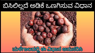 ಮಳೆಗಾಲದಲ್ಲಿ ಅಡಿಕೆ ಒಣಗಿಸುವ ಸುಲಭ ವಿಧಾನ | arecanut processing method in Rainyseason #betelnutdryingtric