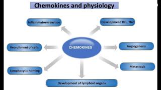 chemokines and its type