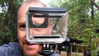 Capturing a queen bullet ant with a GoPro camera case!