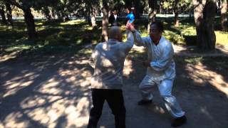 Cheng BaGuaZhang Two Man Combat Drill