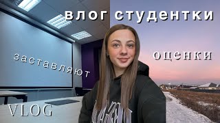 влог студентки: оценки/ выходные/ покупка/ я его заставлю?/ прогулка/ новые брови | Miss Alina