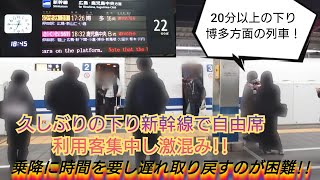 【2024年勤労感謝の日・25分以上ぶりの博多方面の列車で自由席混雑‼️】1時間以上遅延のぞみ39号博多方面の利用客で自由席は混雑集中し立ち客続出で乗降に時間を要してしまう…