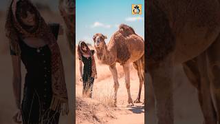 উট ২ ধরনের হয়ে থাকে! 🐪🐫 #shorts #camel #camels