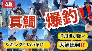 タイラバ 大鯛釣れすぎ注意！　ジギングもいい感じ！丹後が熱い！