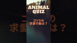 意外と知らない身近な動物クイズ #shorts   #雑学 #ゴリラ