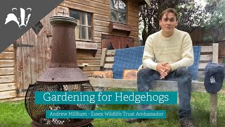 Gardening for hedgehogs