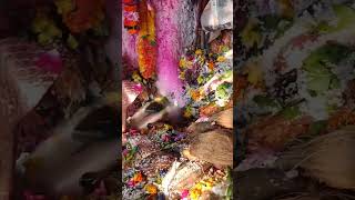 kishanpur shivling darshan #youtubeshorts