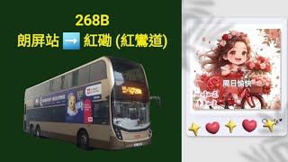 Hong Kong Bus KMB 3ATENU146 @ 268B 九龍巴士 Alexander Dennis Enviro500 MMC New Facelift 朗屏站 紅磡(紅鸞道)