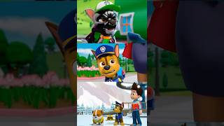 🐾PAW Patrol Rescue World: Marshall, Rubble, Chase, Zuma, Rocky and Skye \u0026Ryder #pawpatrol #shorts