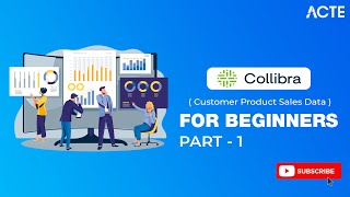 Collibra | Streamline Your Customer Product Sales Data with Collibra | Part - 1