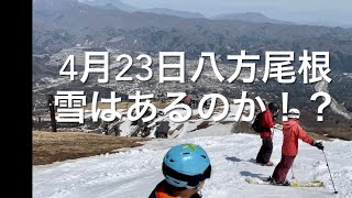 2023.4.23八方