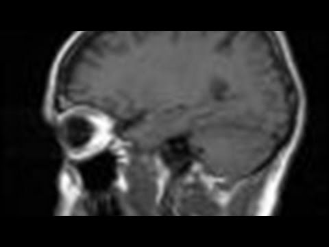 How To Be A Qualified Forensic Psychologist How To Be A Qualified Forensic Psychologist