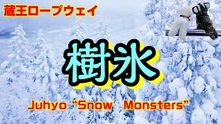 【仙台観光】☆樹氷☆蔵王ロープウェイ☆圧巻の雪景色！大自然の奇跡☆＠山形市蔵王温泉