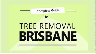 Tree Removal Brisbane - Rules, Costs and How to Save Hundreds